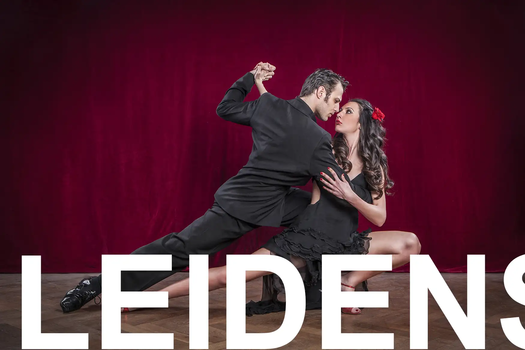 Tanzschule Richter: tänzerische Leidenschaft